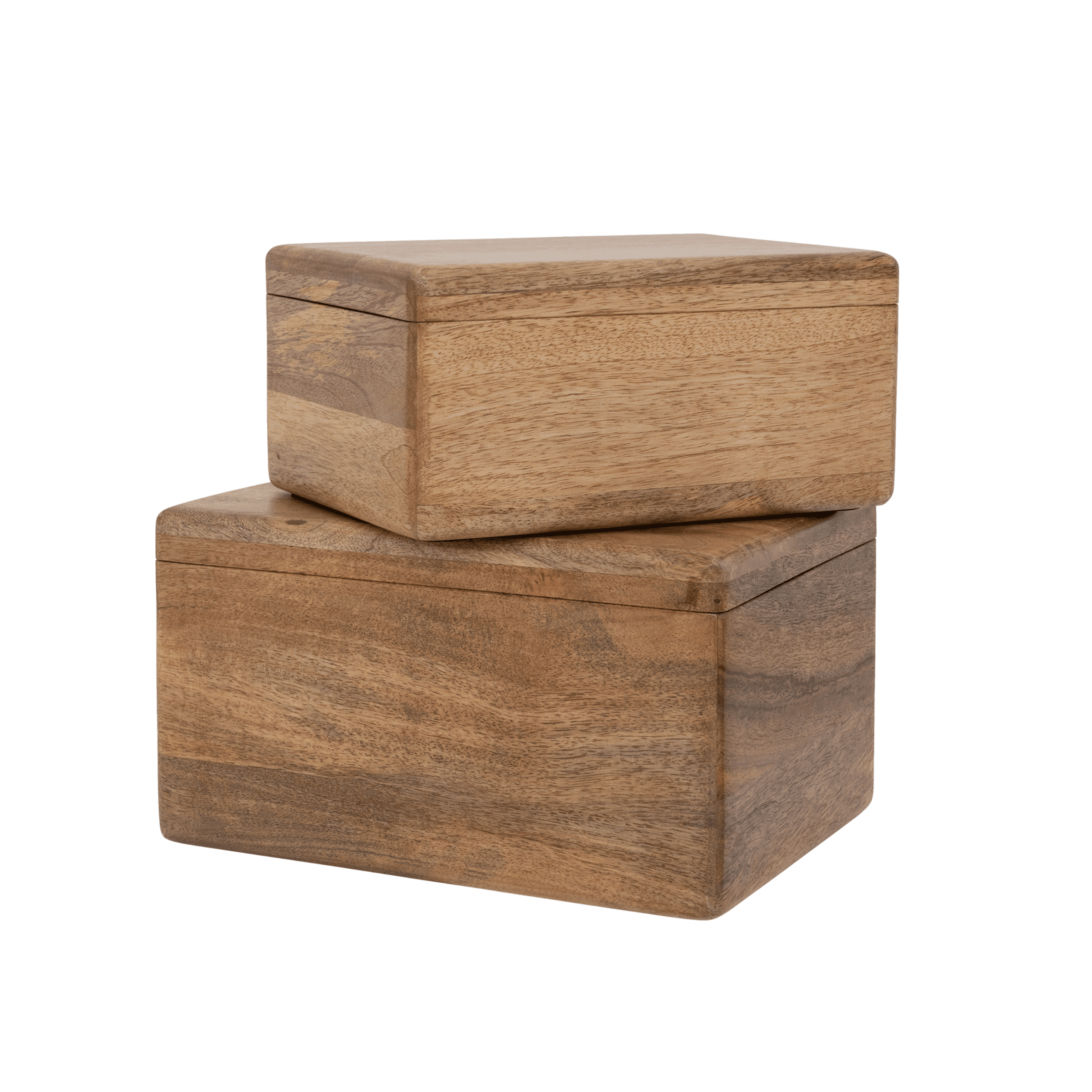 Outside The Box 11 Set Of 2 Salt & Pepper White & Natural Mango Wood