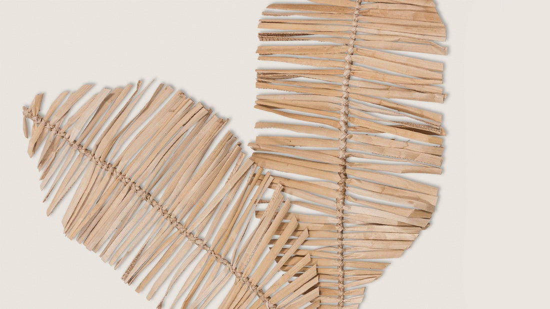 Meet our sustainable materials and their backgroud