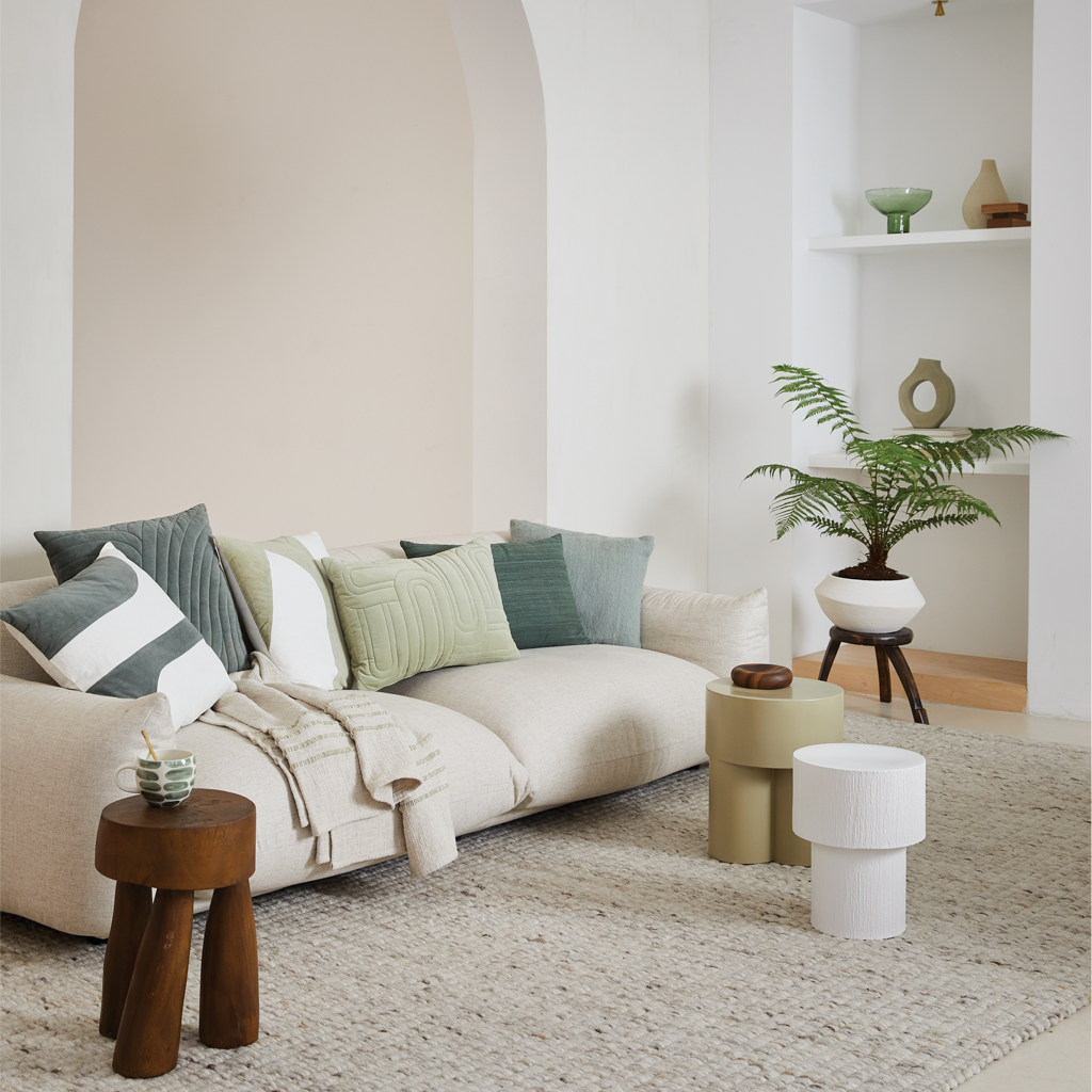 Cushion Kiruto B Beetle