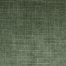 Fir Green