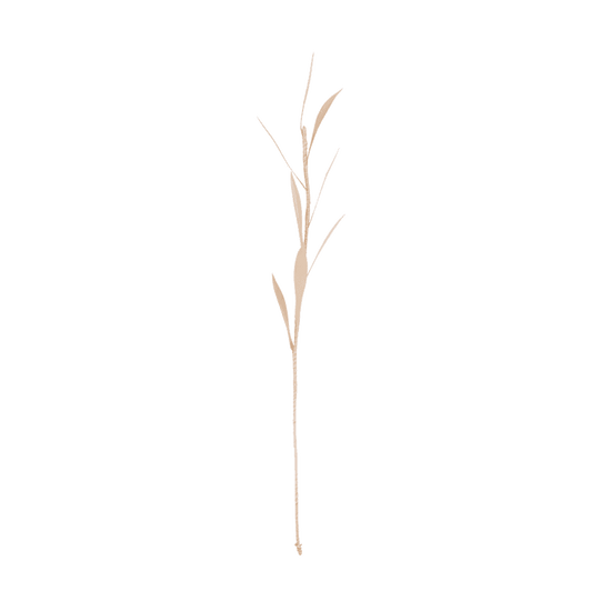 Urban Nature Culture Planta Olive, 8 petals - Urban Nature Culture