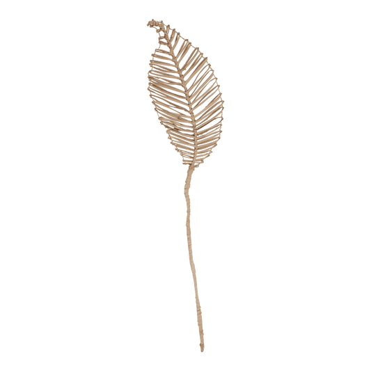 Decorative planta loco - Urban Nature Culture
